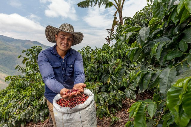 Mexican Coffee Farmer With Coffee Beans