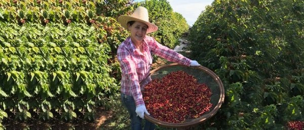 Mexican-Coffee-Women-Farmer
